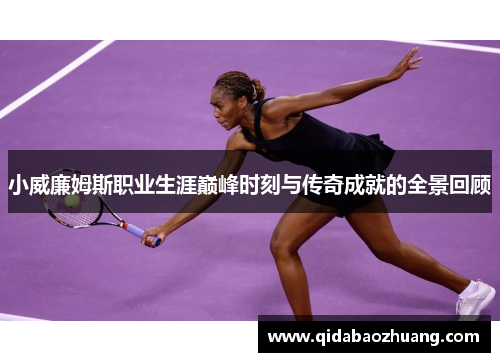 小威廉姆斯职业生涯巅峰时刻与传奇成就的全景回顾
