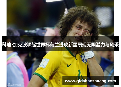 科迪·加克波崛起世界杯荷兰进攻新星展现无限潜力与风采