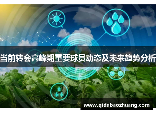 当前转会高峰期重要球员动态及未来趋势分析