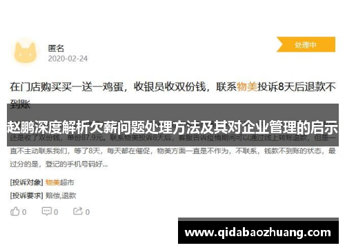 赵鹏深度解析欠薪问题处理方法及其对企业管理的启示